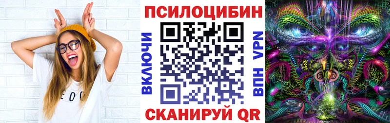 Псилоцибиновые грибы Psilocybe  закладка  Уржум 